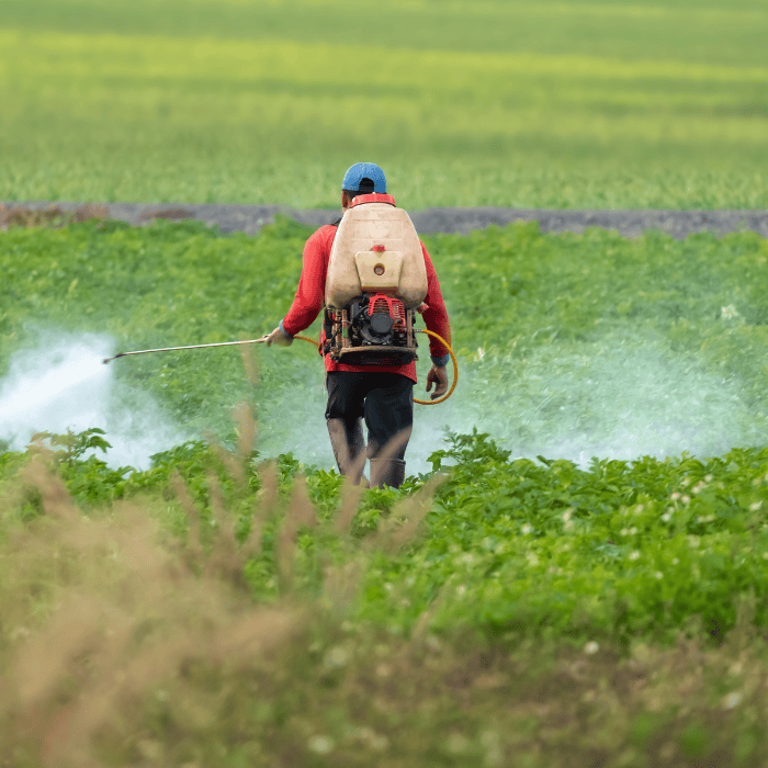 Fertilizers